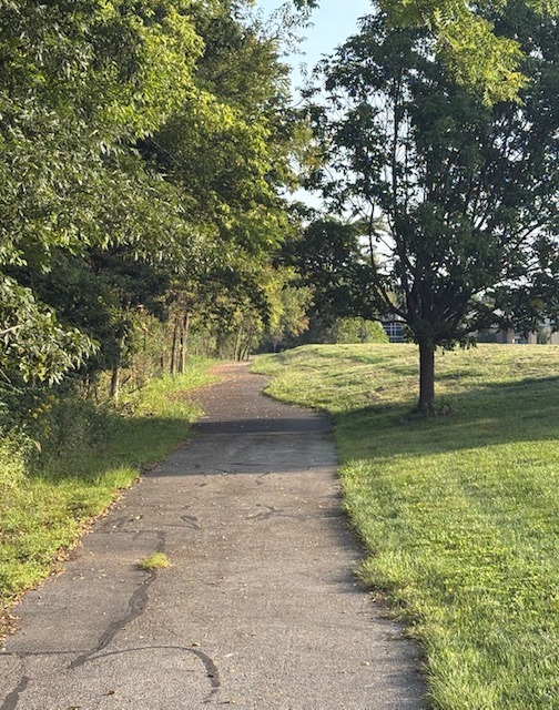 The same path and the same tree as in the image above are shown; however, now, the path continues on past the tree, far into the distance.  No ROAD CLOSED sign is seen anymore.  